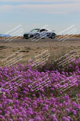 media/Jan-08-2023-SCCA SD (Sun) [[8f6a5b9391]]/Advanced Group/Session 2 (Short Straight)/